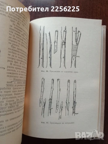 Календар на овощаря, снимка 7 - Специализирана литература - 50611522