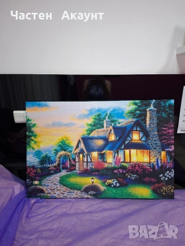 СВЕТЕЩИ КАРТИНИ, снимка 12 - Картини - 49544477