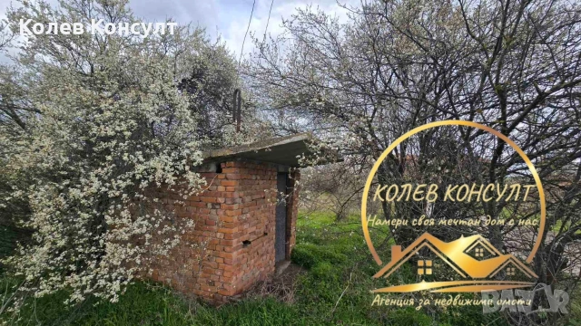 Парцел село Злато поле, снимка 2 - Парцели - 53925297