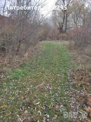 Имот в с.Габер, община Драгоман , снимка 7 - Парцели - 53387489