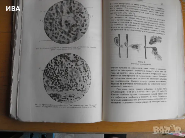 Патологични ПРОЦЕСИ…Автор: С.С.Абрамов., снимка 4 - Специализирана литература - 46892310