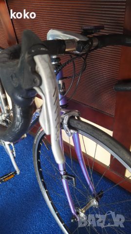 Велосипед Бегач Trek 2300 Campagnolo , снимка 4 - Велосипеди - 46500399