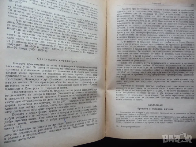 Зеленчукопроизводство Хр. Даскалов, Н. Колев зеленчуци градини домати краставици пипер, снимка 3 - Специализирана литература - 50078543