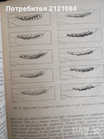 Подборен отстрел на едрия дивеч / Н.Ботев, И.Колев,П.Драгоев , снимка 5 - Специализирана литература - 53475650