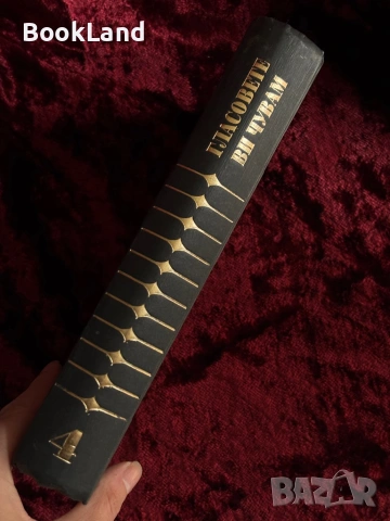 Гласовете ви чувам | Димитър Талев| Анубис, снимка 2 - Българска литература - 53947034