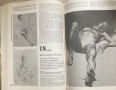 Рисуването. Александър Станев, снимка 3