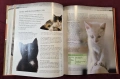 Енциклопедия на котките / Encyclopedia of Cats, снимка 8