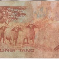 5 шилинги 1982, Кения, снимка 2 - Нумизматика и бонистика - 45551931