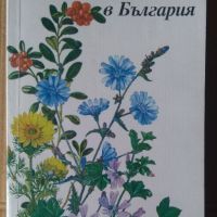 Билките в България  Й.Красналиев , снимка 1 - Специализирана литература - 45656955