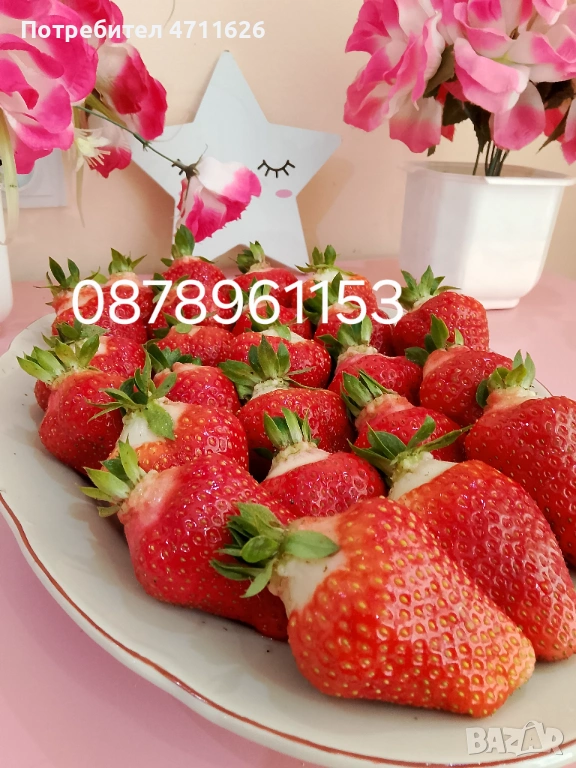 Разсад ягоди и малини , снимка 1