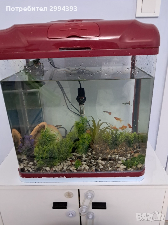 Продавам аквариум заедно с рибите и  цялото оборудване, снимка 1