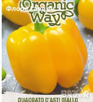 СЕМЕНА - Зеленчуци, билки, подправки, снимка 1