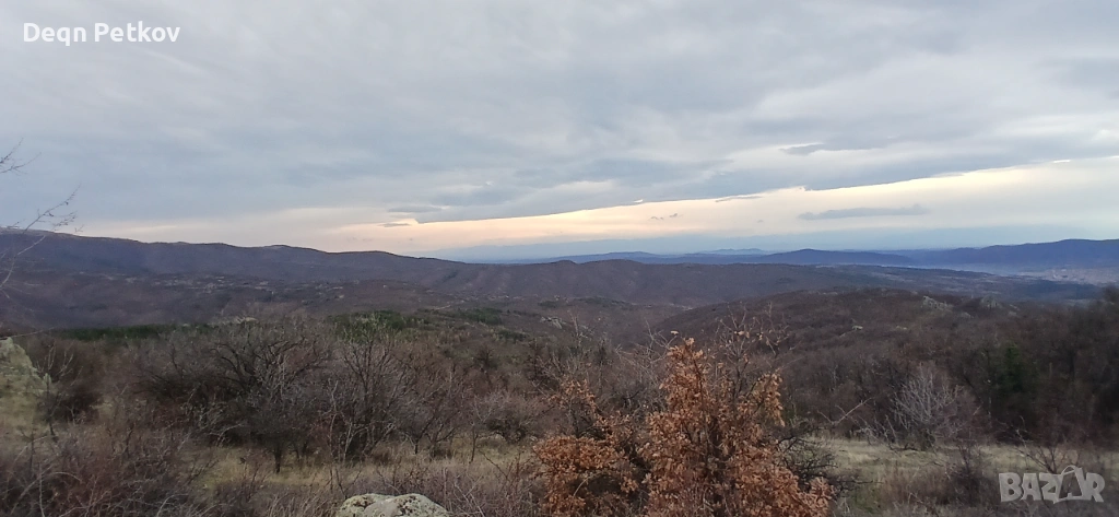 Кулинарен щанд в магазин Кауфланд-София. , снимка 1