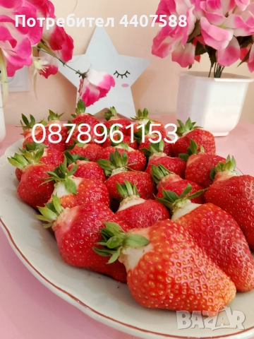 Разсад ягоди и малини , снимка 8 - Разсади - 49528320