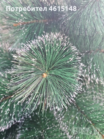 Коледна елха с шишарки и бели, заскрежени връхчета.  Малките размери са с пластмасова стойка, големи, снимка 8 - Други - 51962588