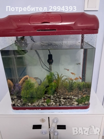 Продавам аквариум заедно с рибите и  цялото оборудване