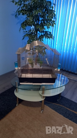 ПРОДАВАМ. НОВА ИТАЛИАНСКА КЛЕТКА., снимка 2 - Канари - 52895222
