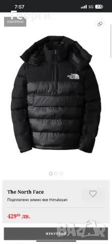 The North Face - Зимно Яке, снимка 3 - Якета - 47921056