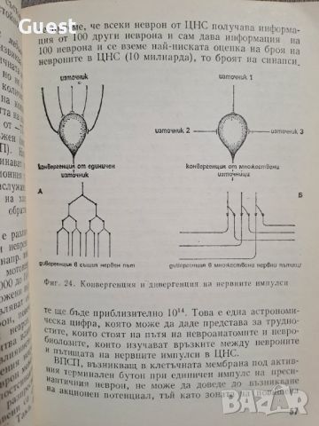 Химия на емоциите и поведението П.Попов, снимка 4 - Специализирана литература - 46060504