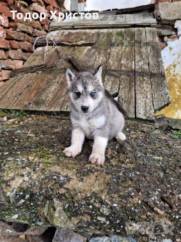 Продаватсе