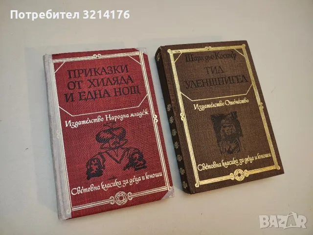 Господаря на Балантрей. Зимна приказка - Робърт Луис Стивънсън, снимка 4 - Художествена литература - 50109097
