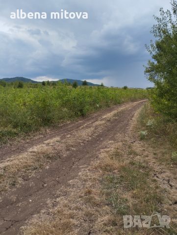 Продавам имот в регулация в гр Банкя.новоразвиващ се район с много нови къщи., снимка 7 - Парцели - 45842932