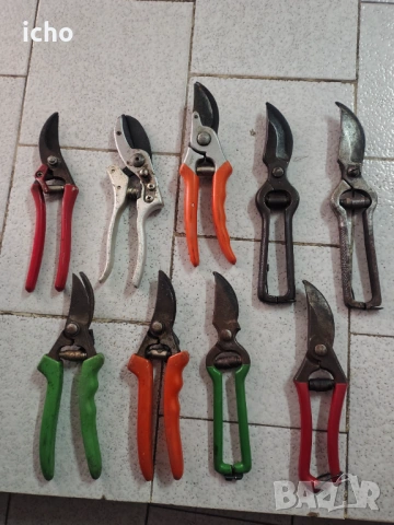 Лозарска ножица