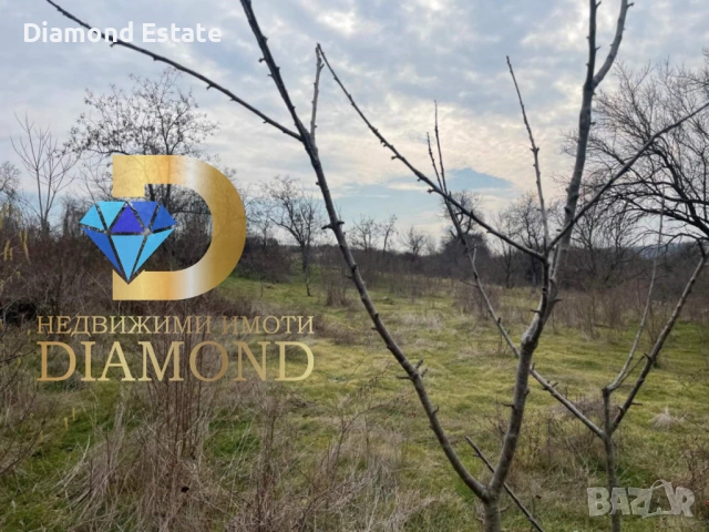 Къща в село Изворово, общ. Чирпан, снимка 7 - Къщи - 53335860