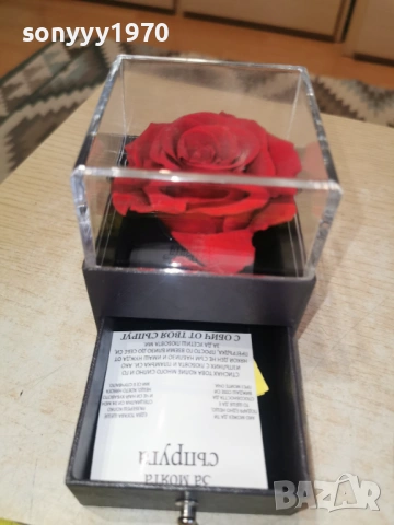 ВЕЧНА РОЗА 2303261655LCHERY1, снимка 15 - Колекции - 53948794