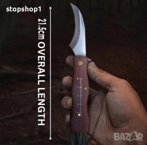 Нож за гъби DEPOX®, неръждаема стомана, с четка, дървена дръжка, 21 см, кафяв, снимка 2 - Прибори за хранене, готвене и сервиране - 53875986