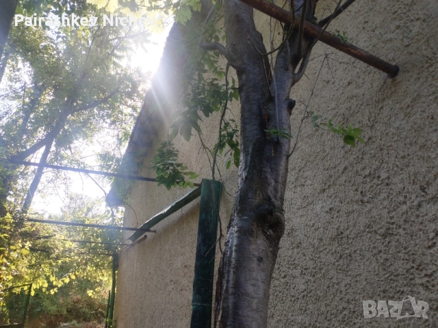 Къща с парцел , снимка 3 - Вили - 51923374