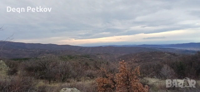 Кулинарен щанд в магазин Кауфланд-София. 