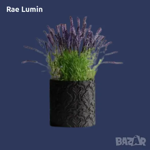 Кашпа – Барок, снимка 1