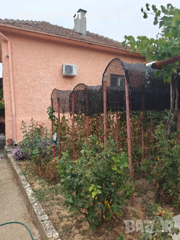 Къща в Старо село, Враца ОТ СОБСТВЕНИК, снимка 3 - Къщи - 54157700