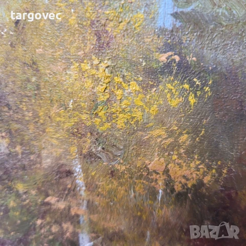 Прекрасна картина пейзаж масло на платно, снимка 4 - Антикварни и старинни предмети - 41778598