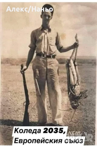 Разменям анциструси 