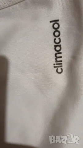 Футболни шорти adidias Ajax Amsterdam , снимка 4 - Футбол - 49833833