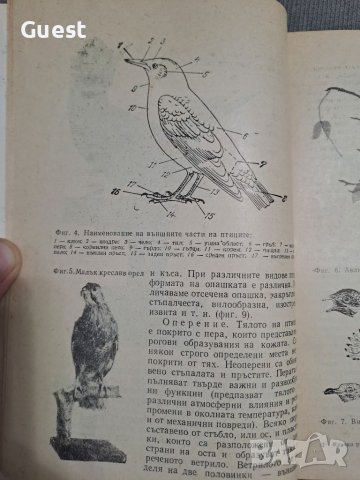 Кратко ръководство за препариране , снимка 3 - Специализирана литература - 46060225