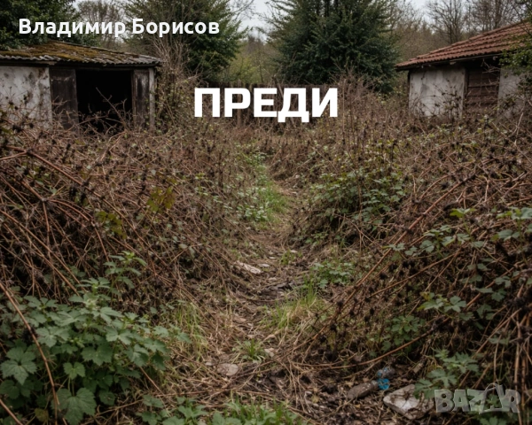 Почистване на обраснали дворове