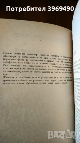 " Самотната вила "., снимка 3 - Художествена литература - 47401555