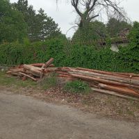 Дървен материал , снимка 1 - Други - 45298100