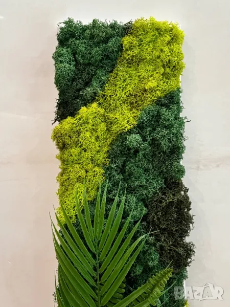 Картина със скандинавски мъх , снимка 1