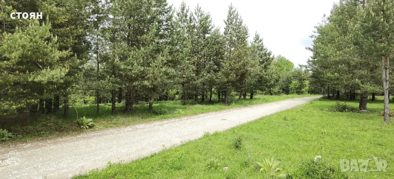 Продавам незастроен урбанизиран имот за вилно строителство землище Разлог, снимка 1