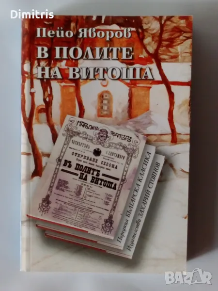 В полите на Витоша, снимка 1