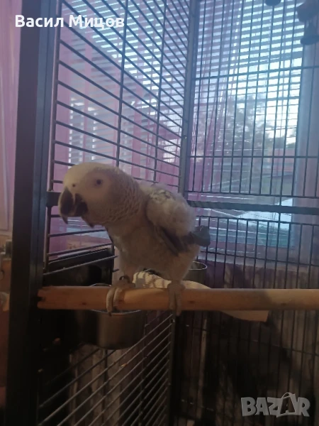 Продавам Женско Жако на 2г, снимка 1