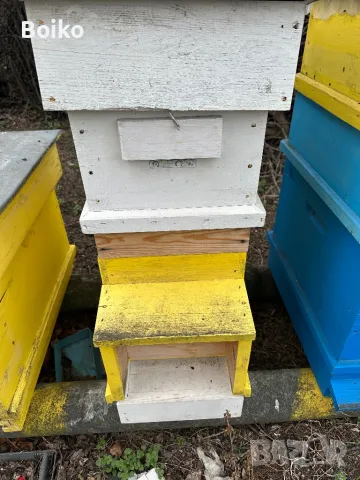 пчелни кошери, снимка 5 - Други животни - 47840160