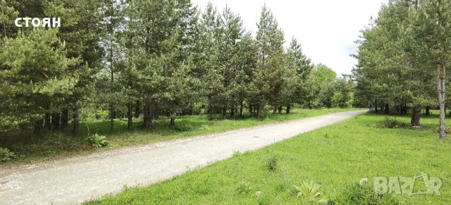 Продавам незастроен урбанизиран имот за вилно строителство землище Разлог