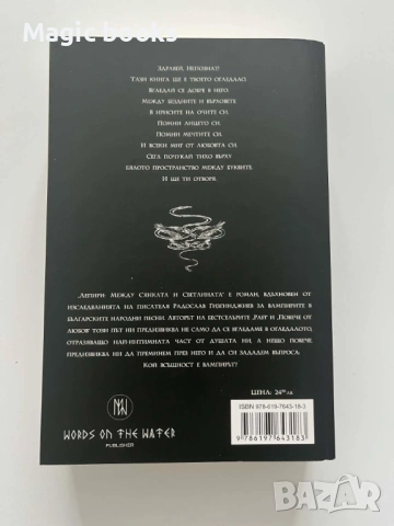 Лепири: Между сянката и светлината Радослав Гизгинджиев, снимка 2 - Художествена литература - 54126116