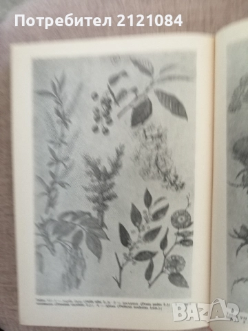 Пчеларска енциклопедия , снимка 6 - Специализирана литература - 51709781