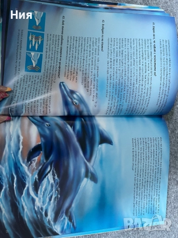 101 Тайни на делфините, снимка 3 - Други - 51647944
